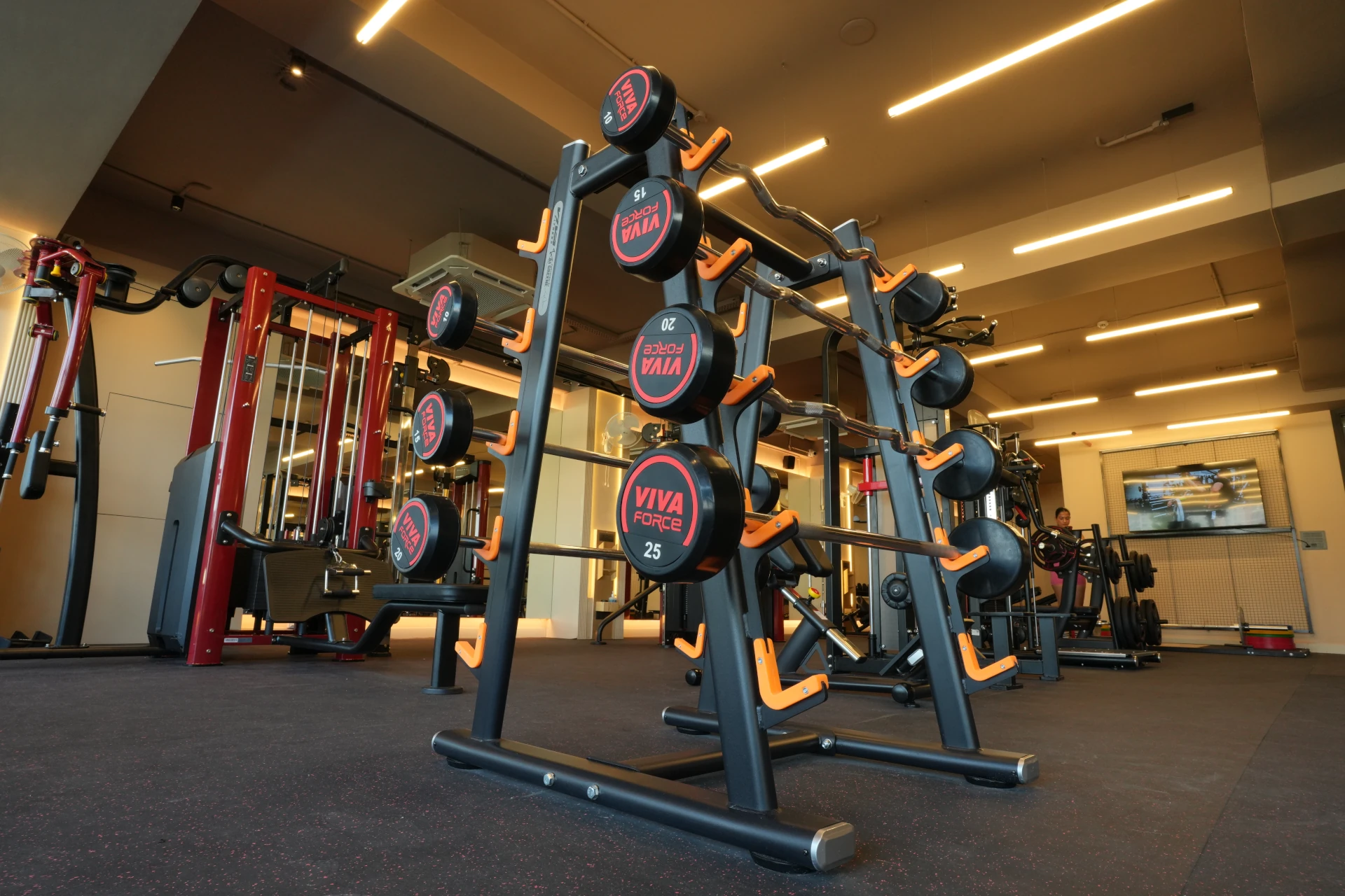 Free Weights