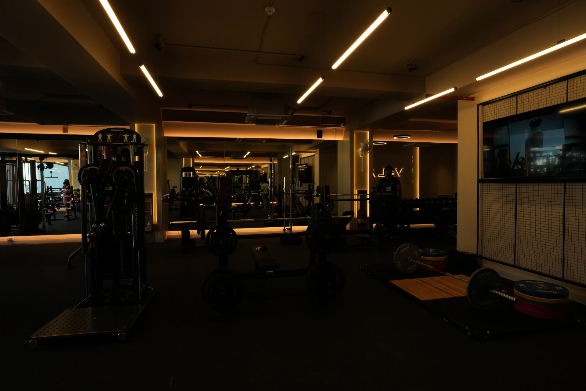 Bench Press